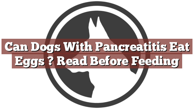 Can Dogs With Pancreatitis Eat Eggs ? Read Before Feeding