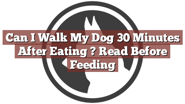 Can I Walk My Dog 30 Minutes After Eating ? Read Before Feeding