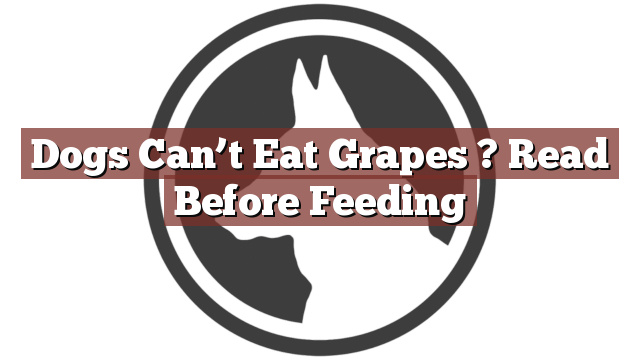 Dogs Can’t Eat Grapes ? Read Before Feeding
