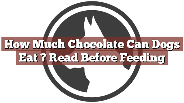 How Much Chocolate Can Dogs Eat ? Read Before Feeding