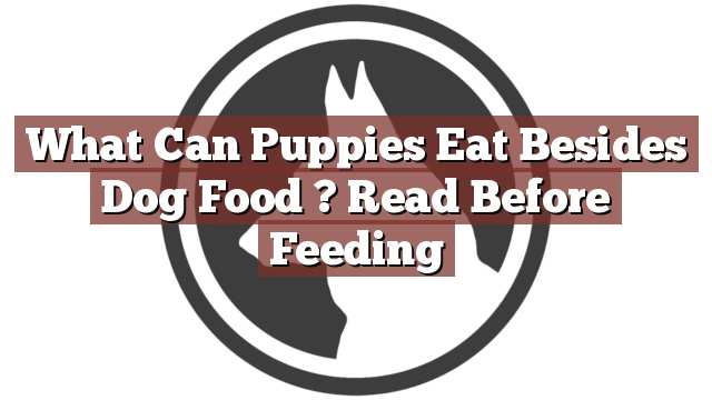 What Can Puppies Eat Besides Dog Food ? Read Before Feeding