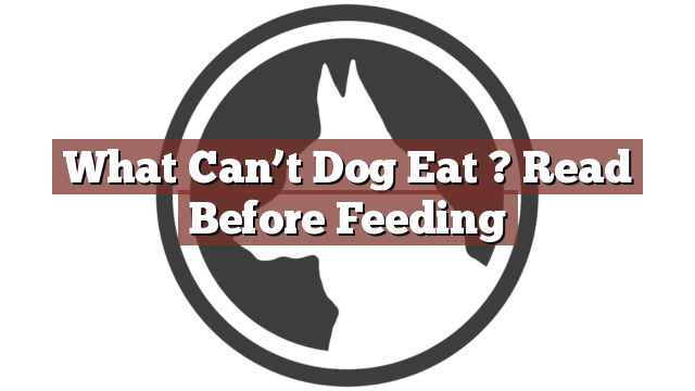 What Can’t Dog Eat ? Read Before Feeding