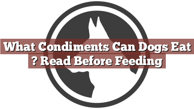 What Condiments Can Dogs Eat ? Read Before Feeding