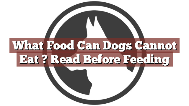 What Food Can Dogs Cannot Eat ? Read Before Feeding