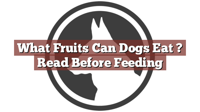 What Fruits Can Dogs Eat ? Read Before Feeding