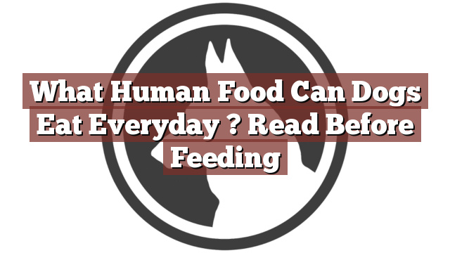 What Human Food Can Dogs Eat Everyday ? Read Before Feeding