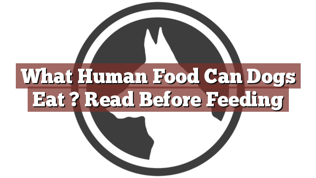 What Human Food Can Dogs Eat ? Read Before Feeding