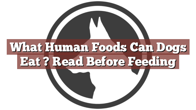 What Human Foods Can Dogs Eat ? Read Before Feeding