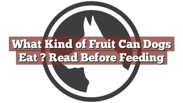 What Kind of Fruit Can Dogs Eat ? Read Before Feeding