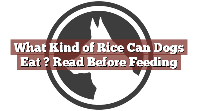 What Kind of Rice Can Dogs Eat ? Read Before Feeding