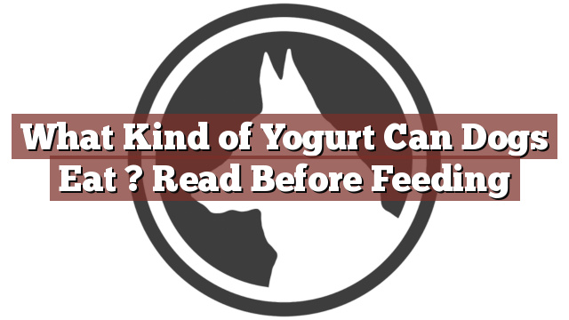 What Kind of Yogurt Can Dogs Eat ? Read Before Feeding