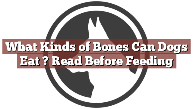 What Kinds of Bones Can Dogs Eat ? Read Before Feeding