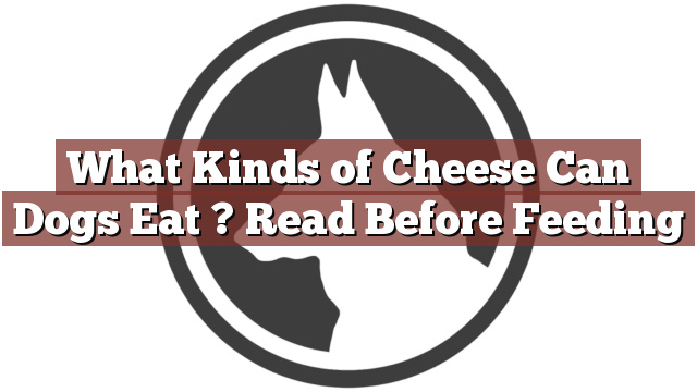 What Kinds of Cheese Can Dogs Eat ? Read Before Feeding