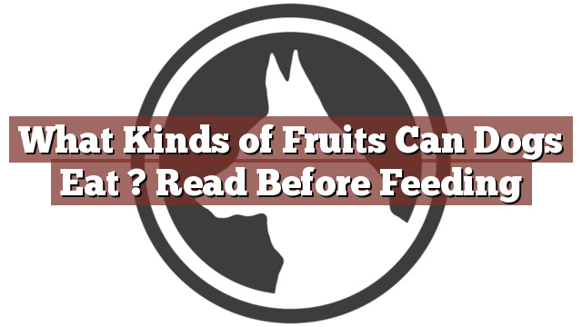 What Kinds of Fruits Can Dogs Eat ? Read Before Feeding