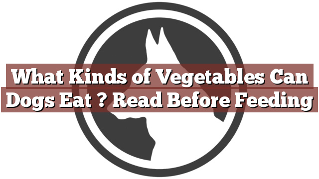 What Kinds of Vegetables Can Dogs Eat ? Read Before Feeding
