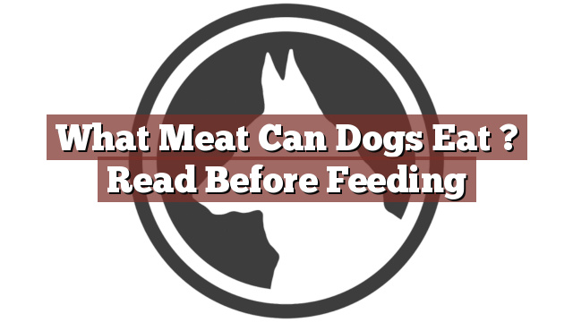 What Meat Can Dogs Eat ? Read Before Feeding