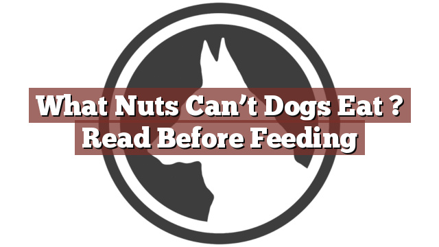 What Nuts Can’t Dogs Eat ? Read Before Feeding