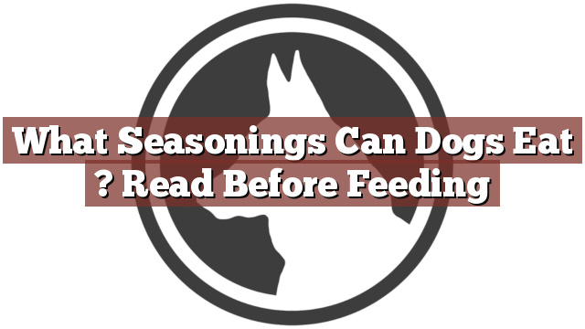 What Seasonings Can Dogs Eat ? Read Before Feeding
