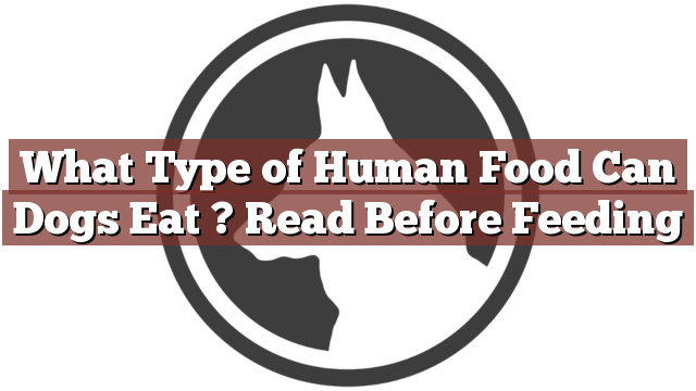 What Type of Human Food Can Dogs Eat ? Read Before Feeding