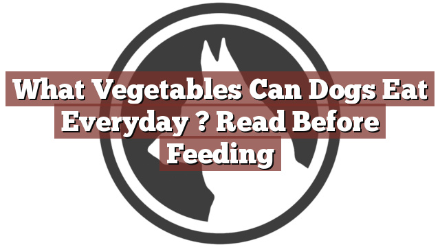 What Vegetables Can Dogs Eat Everyday ? Read Before Feeding