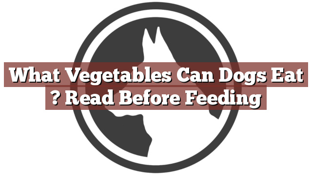 What Vegetables Can Dogs Eat ? Read Before Feeding