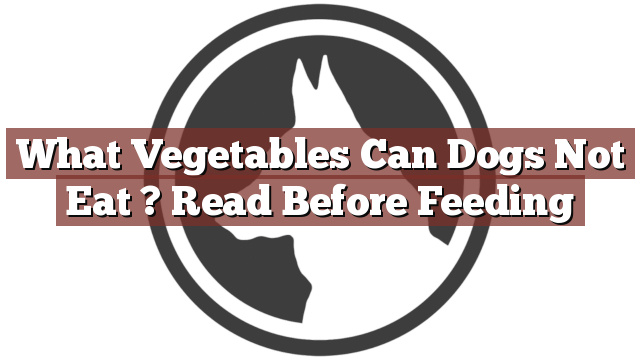 What Vegetables Can Dogs Not Eat ? Read Before Feeding