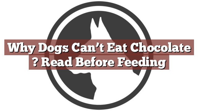 Why Dogs Can’t Eat Chocolate ? Read Before Feeding